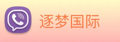 逐梦国际 logo